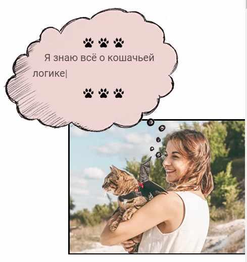 Протокол Как познакомить кошку с кошкой (Марина Жеребилова)