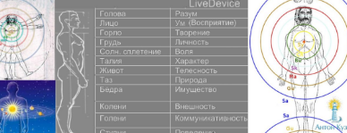 Раши - Знаки Зодиака на основе технологий Тантра-Джйотиша. Грахи в Раши+метод LiveDevice (Антон Кузнецов)