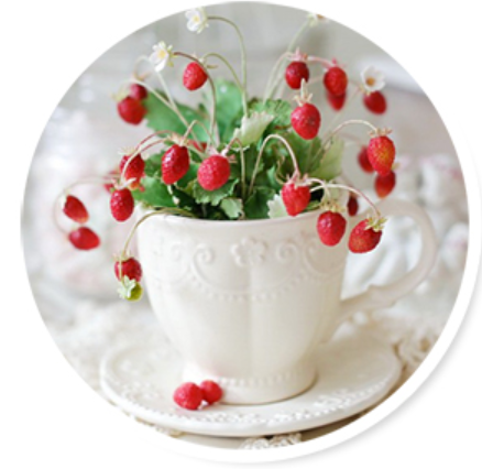 Цветочки-ягодки (Алена Семенова)