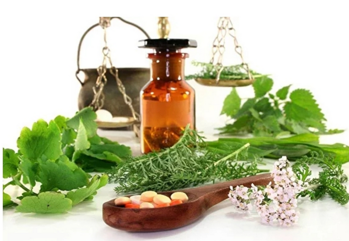 [Доктор Плесовских] Годовая программа для запуска Желчного пузыря и бесперебойной его работы (Татьяна Плесовских)