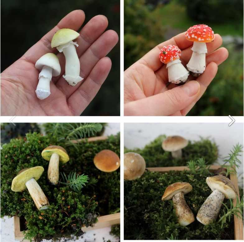 [masterbelkas] Грибной курс (Светлана Белова)