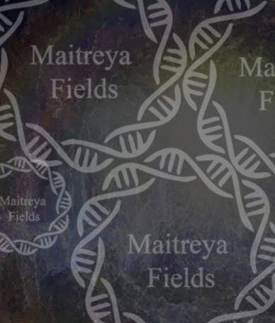 [Maitreya Fields] DM (Мандала): Языковый загрузчик | Language Downloader