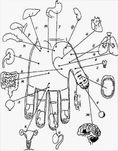 Лечение заболеваний ушей и носа методами Су Джок (Лада Боровикова)