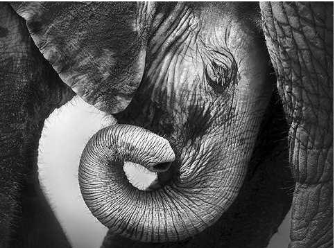 [Высшая школа психологии] Интегральный подход психологической работы с травмой развития. Раздел 8 (Анастасия Дивеева, Андрей Евдокимов)