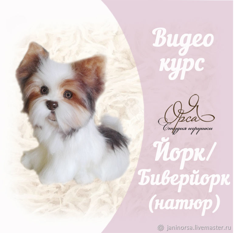 Мастер-класс "Йорк (биверйорк)" стиль натюр (Янина Орса)