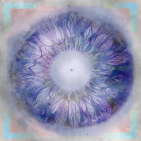 [Sapien Medicine] Видение ясности | Vision of Clarity