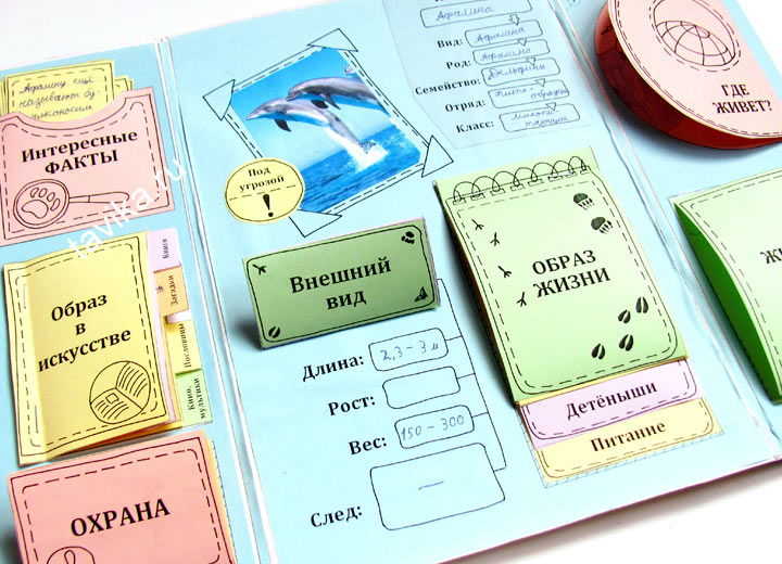 [Lapbook] Шаблон лэпбука О животном (Татьяна Пироженко)