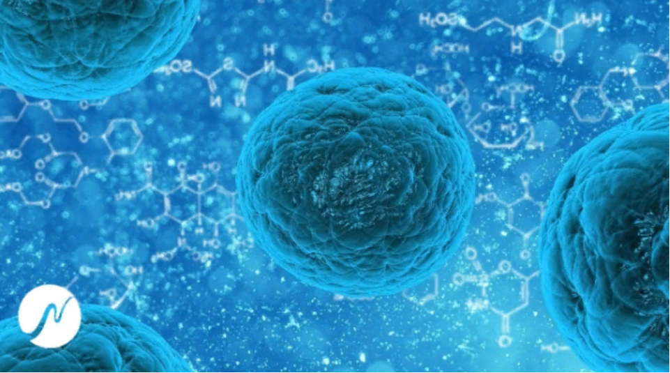 [neowake Biofrequencies]  Частота антивируса. Усилитель иммунной системы. Удаляет инфекции, вирусы, бактерии, грибы