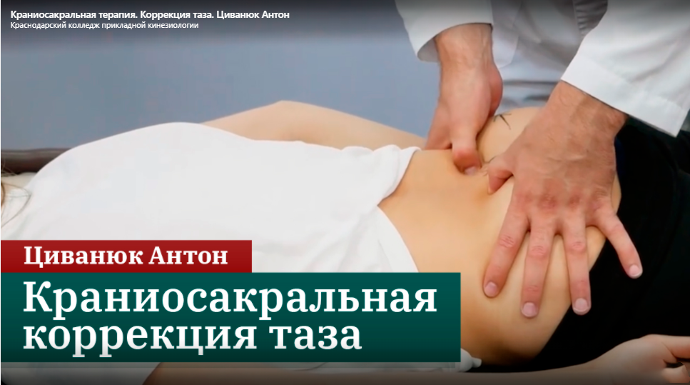 [Краснодарский колледж прикладной кинезиологии] Видео семинар «Краниосакральная коррекция», 19 – 23 сентября 2022 (Антон Циванюк, Михаил Белюк)