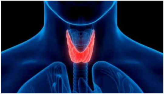 [Sigh Energy] Исцеление и регенерация щитовидной железы | Thyroid Healing and Regeneration