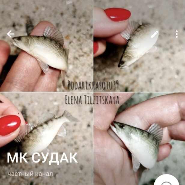 Судак (Елена Тильзитская) @podarikrasotu39
