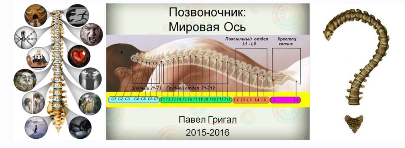 Позвоночник Мировая Ось (Павел Григал)