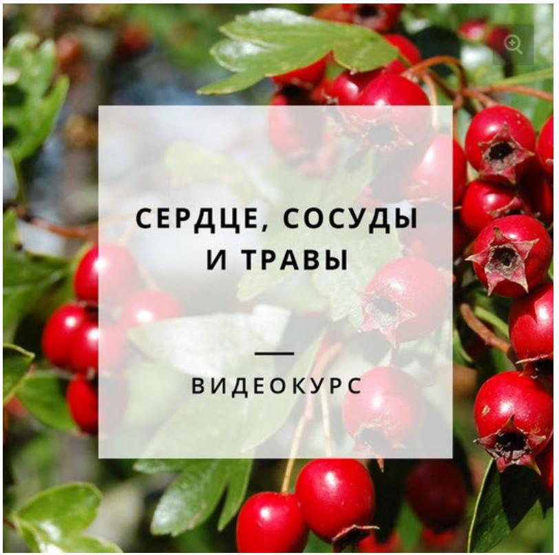 Сердце, сосуды и травы (Яна Гарбовская)