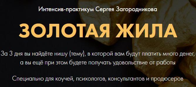 Золотая жила. Пакет PREMIUM (Сергей Загородников)