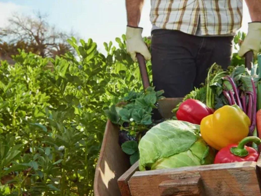 [Земледелие] Школа больших урожаев