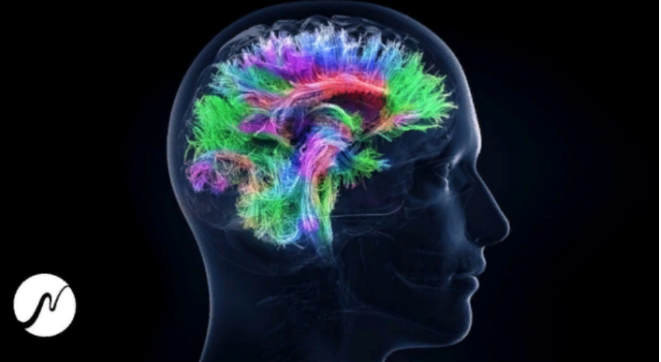 [neowake Biofrequencies] Активируйте 100% потенциал мозга. Частота мозга гениев