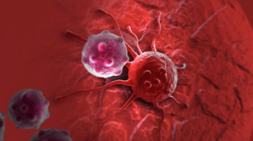 [Архэ] Рак с высоты птичьего полета. Больные клетки: основы биологии рака (Мария Кондратова), фото 1 из 1.