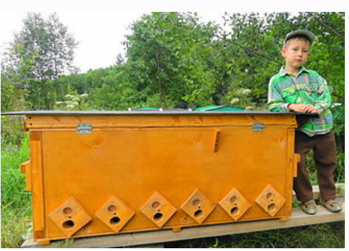 Методы содержания пчёл в Владимирских ульях (Андрей Якимов)