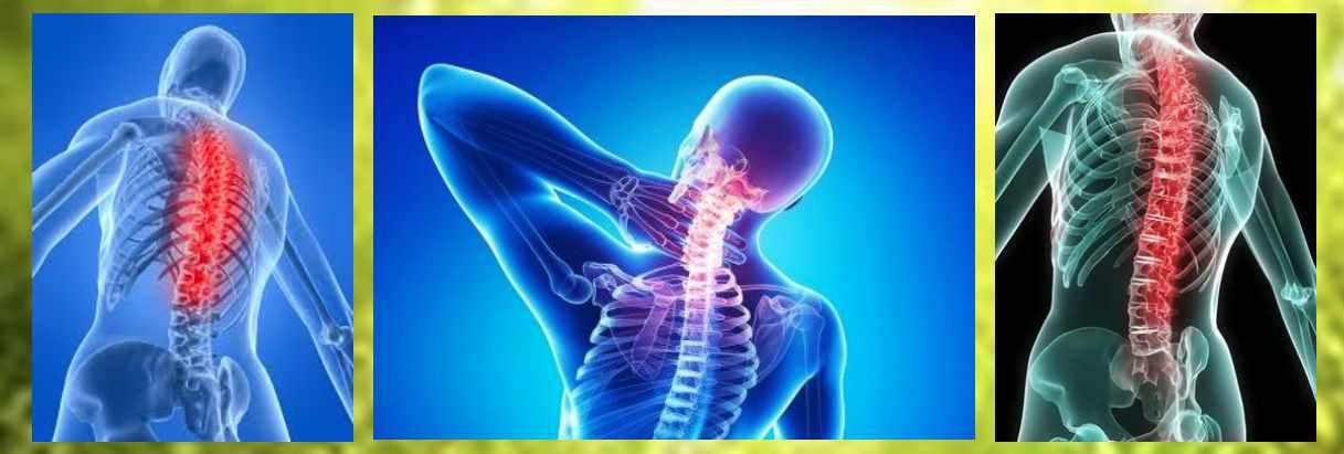 Исцеление позвоночника с помощью Су Джок (Ангелина Пасхалиди)