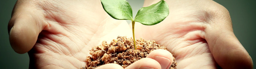 [Интераура] Лечение и профилактика: Кандидоз