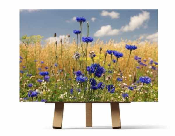 Мастер-класс Степь (Ирина Шпакова)