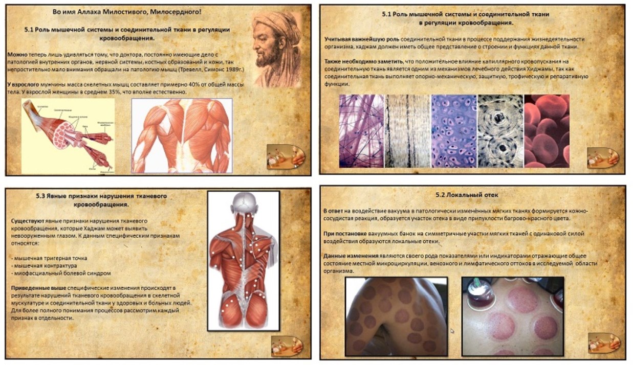 Современные теоретические знания (Мурадым Бикбаев)