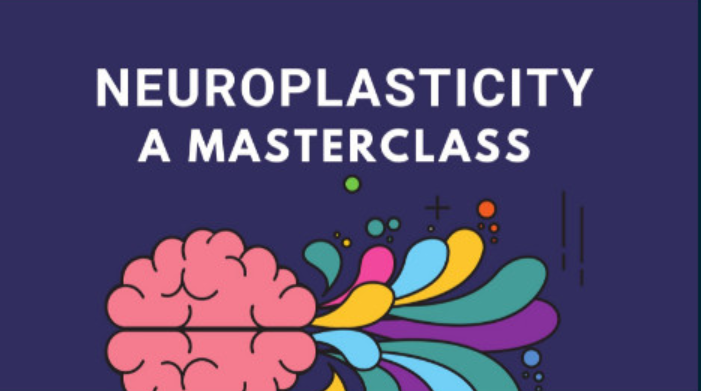 [Skillshare] Нейропластичность – Система быстрого перепрограммирования мозга. Часть 3 из 7 (Ной Мерриби)