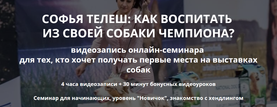 [DogWinner] От щенка до чемпиона (Софья Телеш)