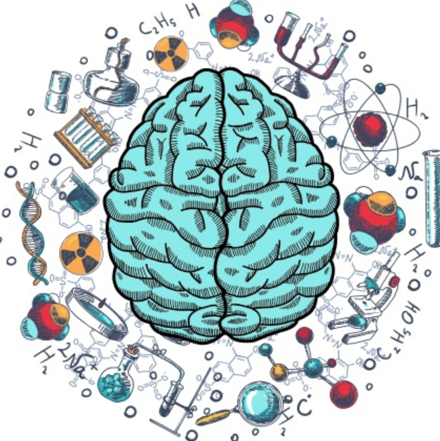 [Центр Эйдос] Секреты памяти. Базовый курс