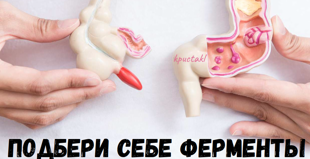 [kpuctakl] Шпаргалка "Подбери себе ферменты" (Кристина Трофимова)