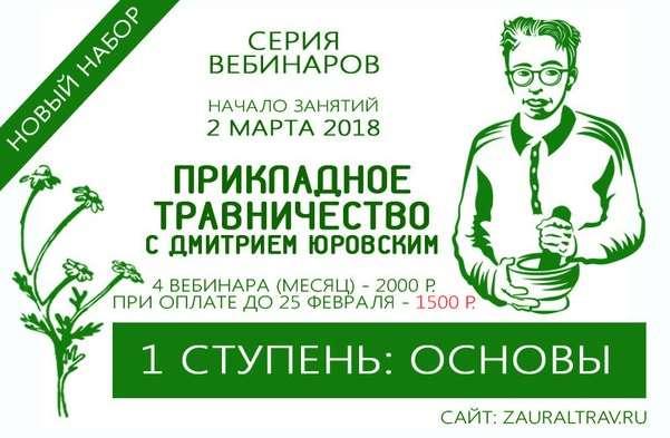 Прикладное травничество. Основы (Дмитрий Юровский)