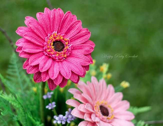 Gerbera Daisy/Гербера Дейзи (HappyPattyCrochet)