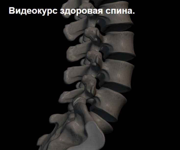 Здоровая спина (Владимир Кравцов)