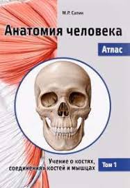 Анатомия человека. Атлас. Том 1. Учение о костях, соединениях костей и мышцах (Михаил Сапин)