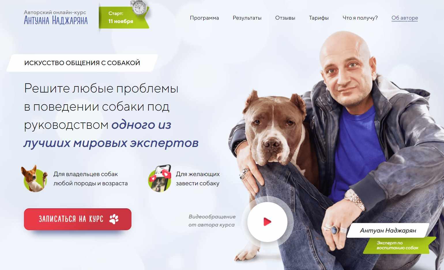 Авторский онлайн-курс «Искусство общения с собакой» (Антуан Наджарян)