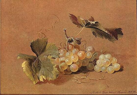 [Enterclass] Нюансы копирования (Анна Хопта)