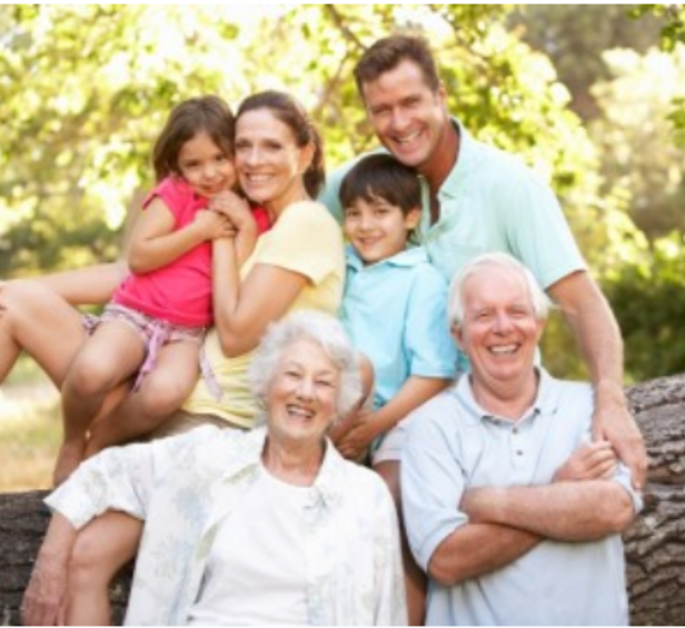 Сила вашего рода (Ирина Дудина)