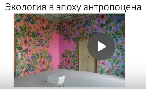 Лекторий Ммома. Экология в эпоху антропоцена (Анна Журба)