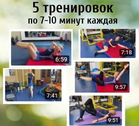 Спина-живот (Владимир Никифоров)