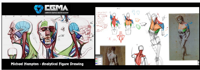 [CGMA] Аналитическое рисование фигуры I - Неделя 4 (Michael Hampton)