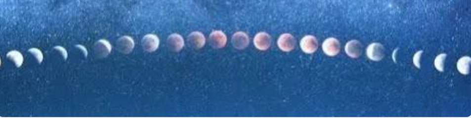 [Access] Зум-звонок «Страх» (Алина Галиуллина)