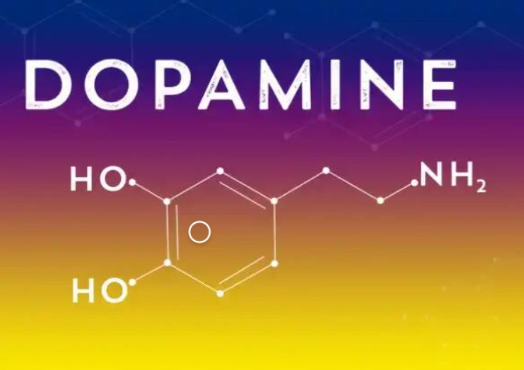 [Первая школа биохакинга] Дофаминомания, август 2023 (Ирина Баранова, Татьяна Смольянинова)