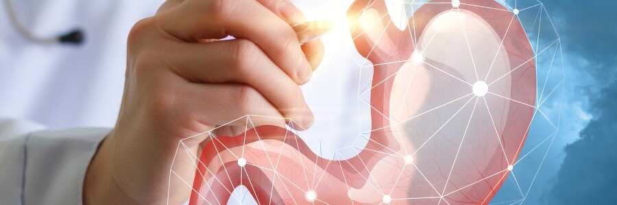 [humberto 2.0] Про здоровый желудок (Елена Иванова)