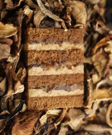 [cakeit_nsk] Торт Привет из Питера (Греча-Грибы) (Любовь Ки)