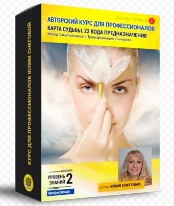 Авторский курс для профессионалов. 22 кода судьбы. (Юлия Снеговая)
