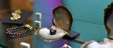 [Эрмитаж] Дары морской стихии. Морские раковины, барочный жемчуг и перламутр (Анна Кропина)