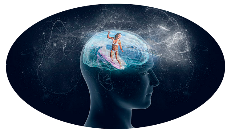 Superмозг. Пакет Мини (Евгения Харитонова)