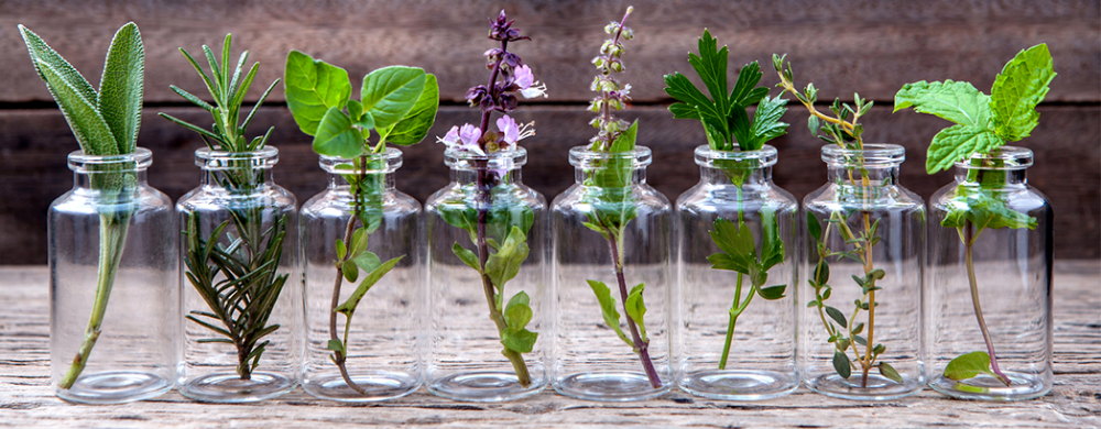 Мир ароматов - часть 2 (курс Натуральная парфюмерия) (Анна Семенова)