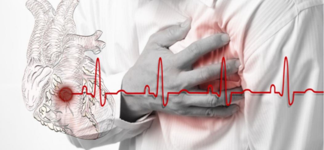 Азбука здоровья сердечно-сосудистой системы (Елена Бахтина)