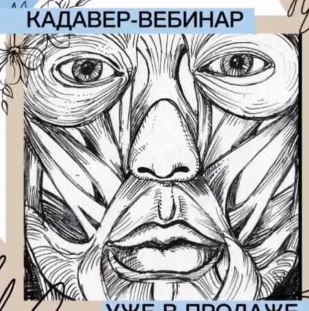 Кадавер вебинар по БТА (Марина Егорова)